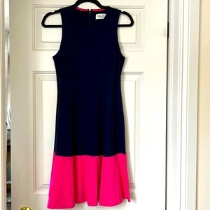 Eliza J Navy and Pink Colorblock Dress